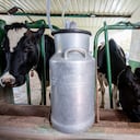 Foto de referencia sobre leche en Colombia