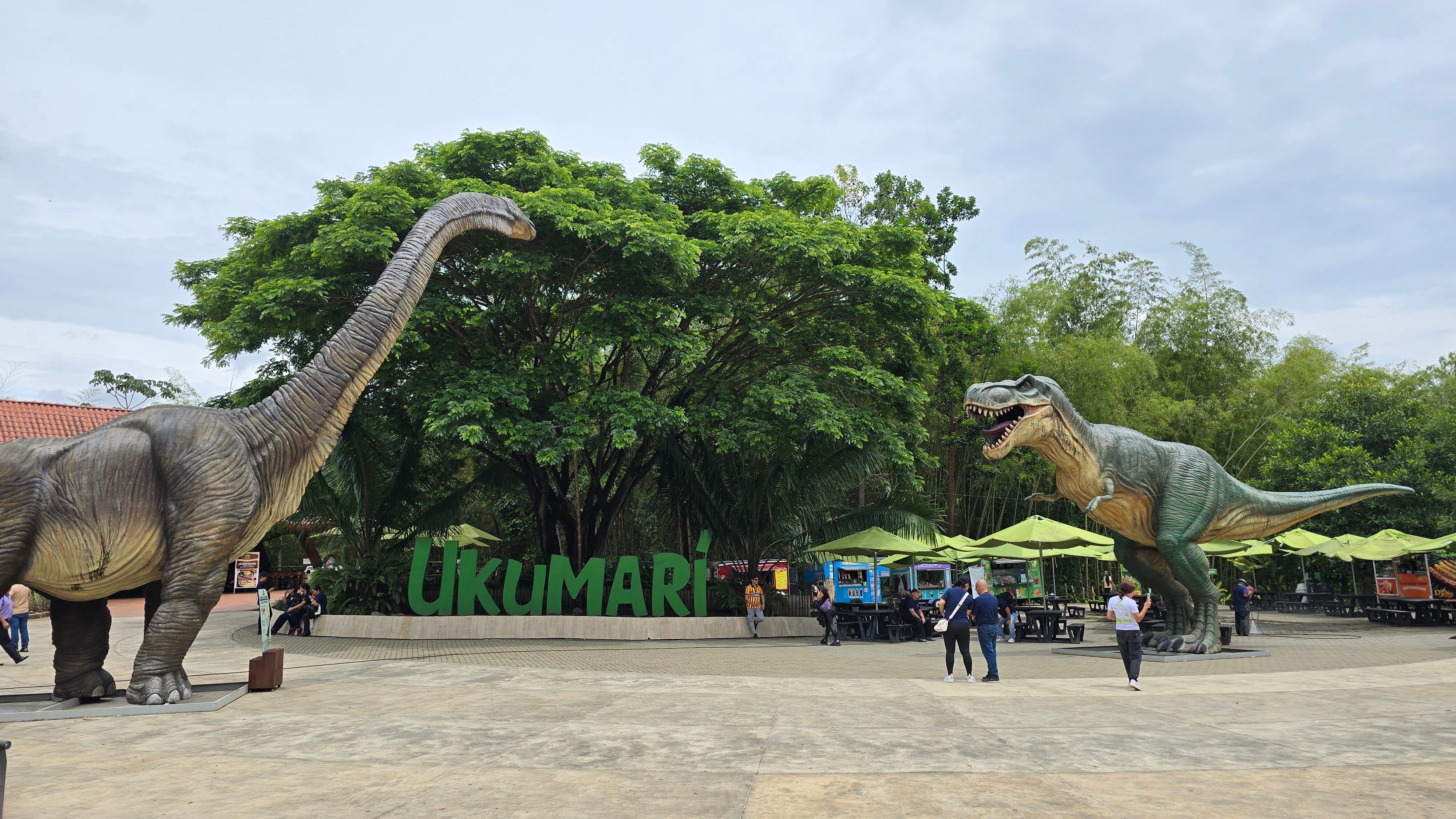 Ukumarí cumple 10 años resguardando a los animales en este santuario.