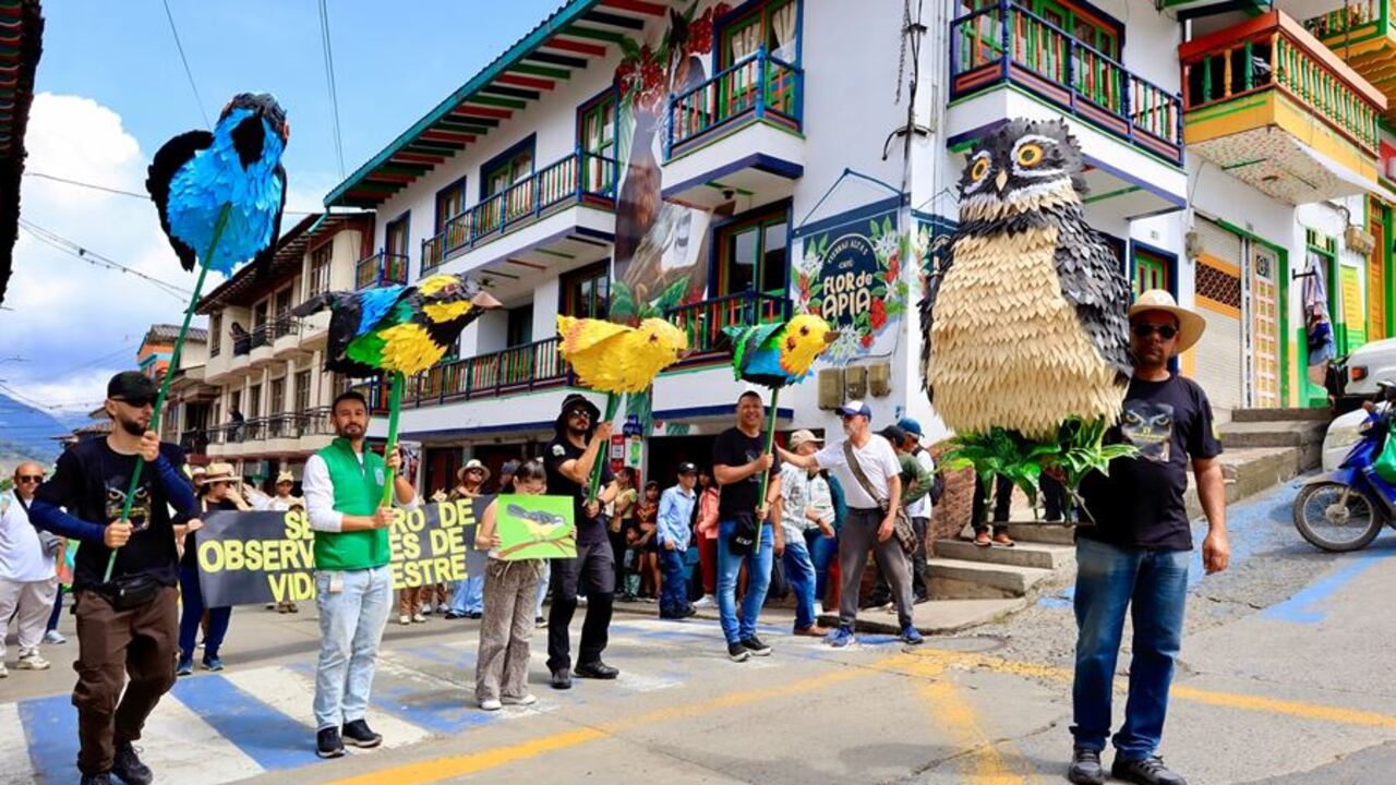 Festival de las Aves