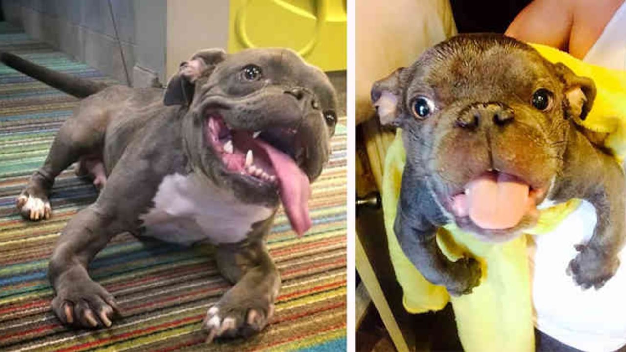 Facebook: Sassy- The Small Wonder