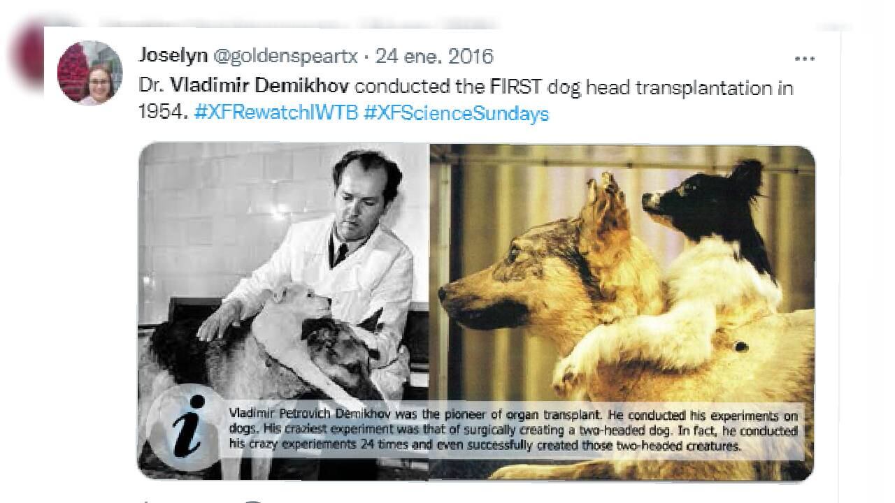 Los animales solamente sobrevivieron por unos cuantos días.