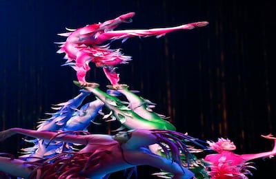 Foto: Guillermo Torres Reina