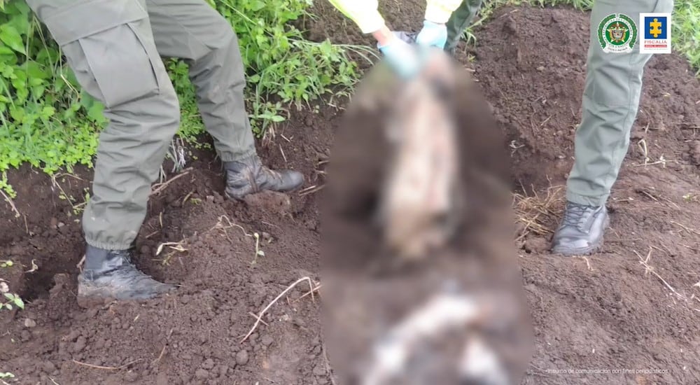 La Fiscalía desarticuló una red de tráfico de carne que usaba caballos enfermos para sacrificarlos y ponerlos en venta.