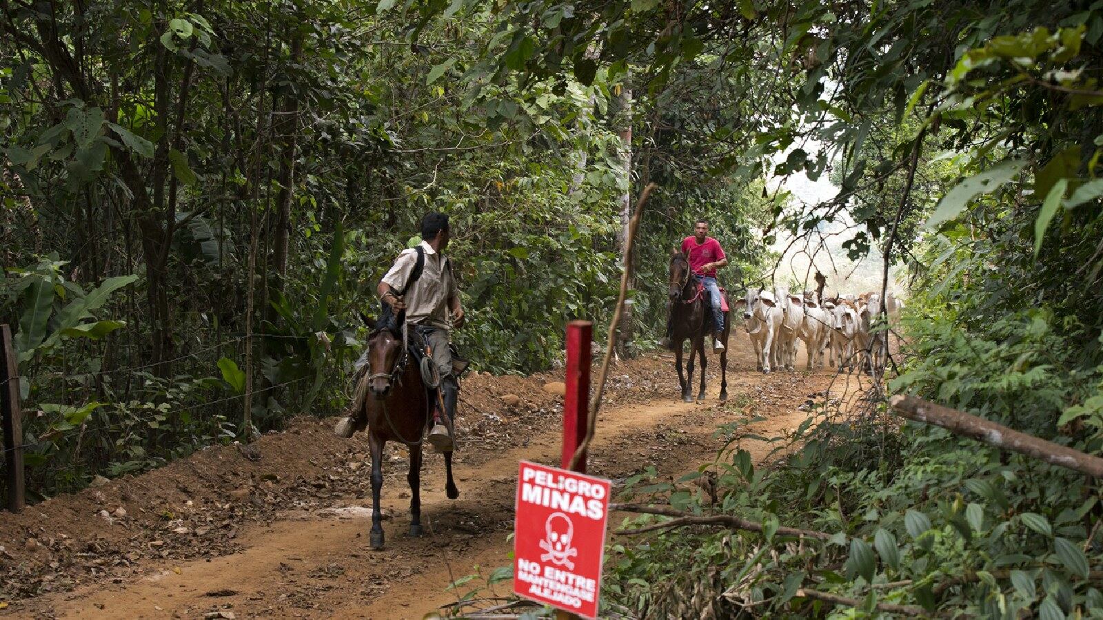 La Cruz Roja asegura que las minas antipersona no han dejado de ser un gran problema para Colombia. 