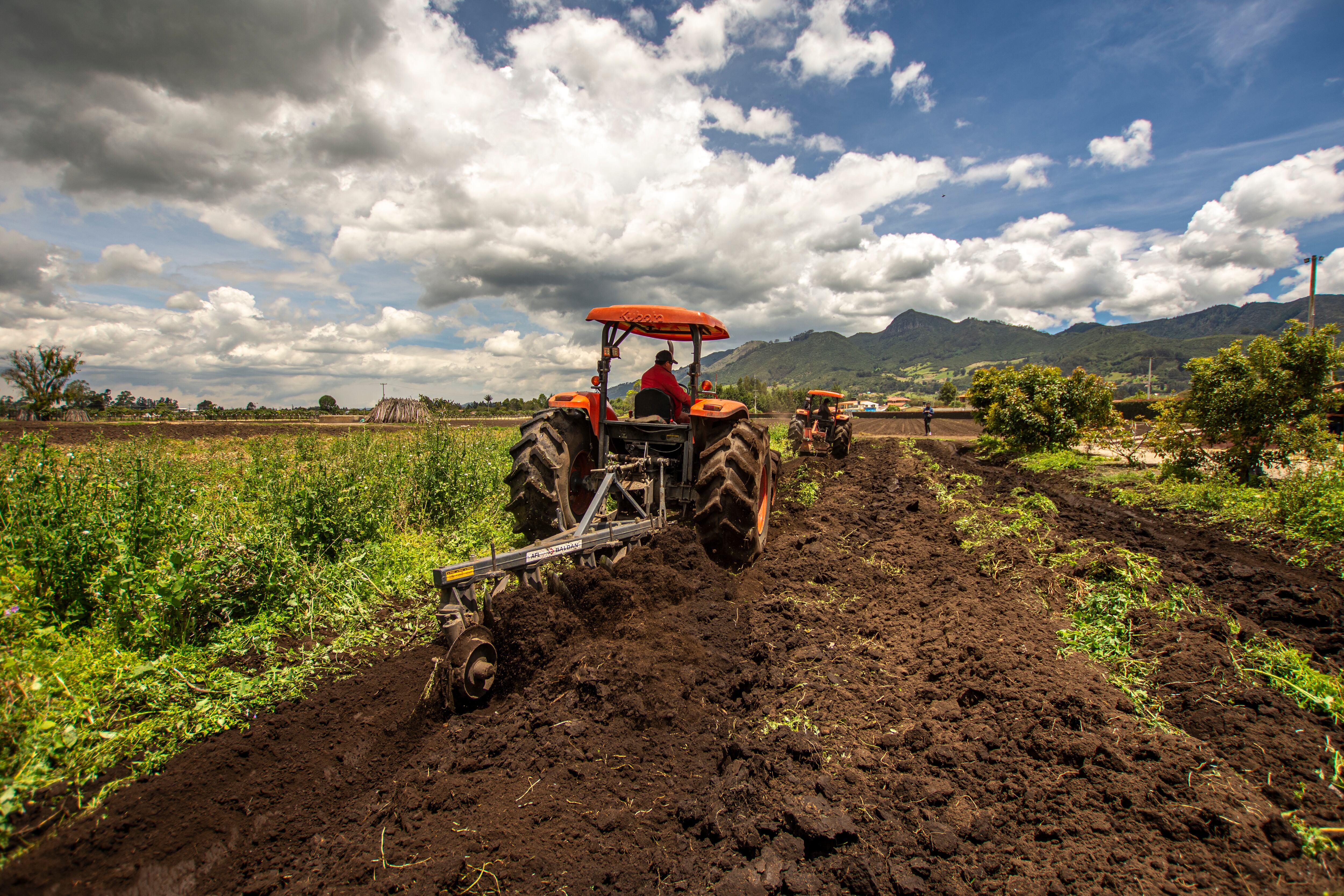 CULTIVOS CAMPO, TRACTORES, MAQUINARIA, AGROPECUARIO.