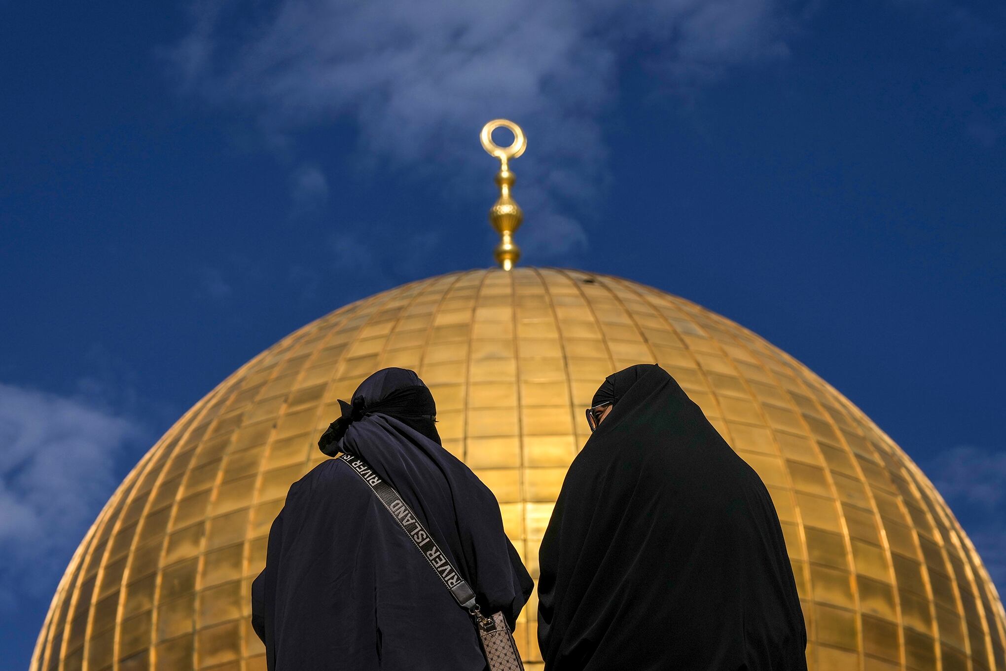 Fotos de la semana 27 enero