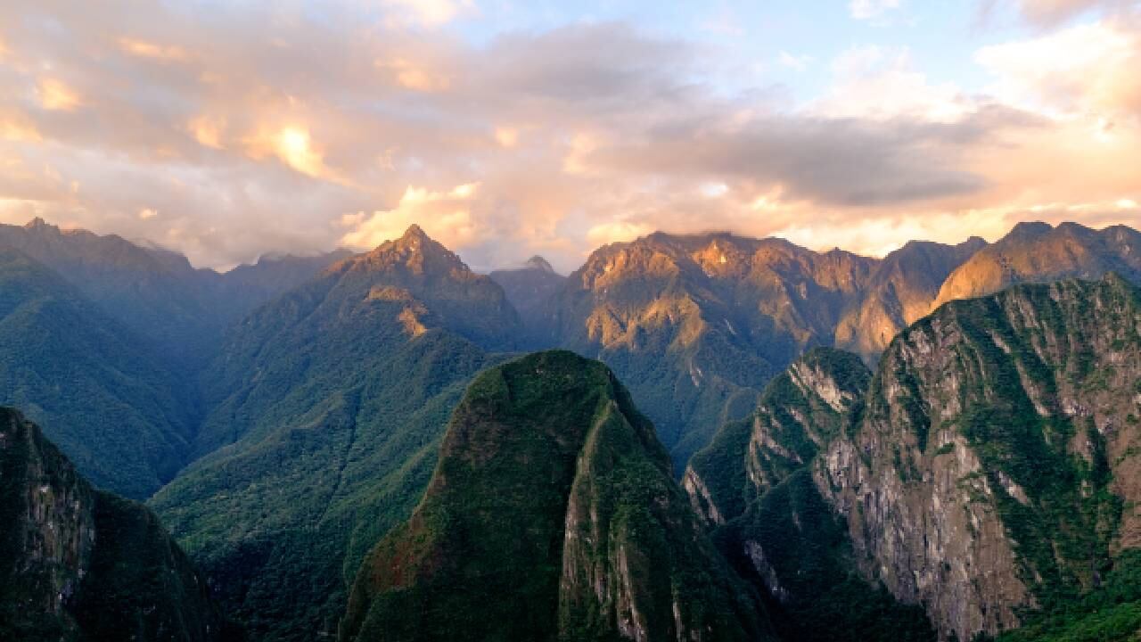 La nueva especie se encontró en lo alto de la Cordillera de los Andes.