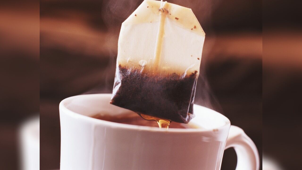 Los científicos tiñeron partículas de microplásticos y nanoplásticos para exponerlas a distintos tipos de células intestinales humanas, evaluando su interacción y posible internalización.