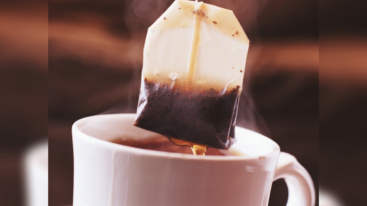 Harvard revela cuál variedad de té retrasa el envejecimiento