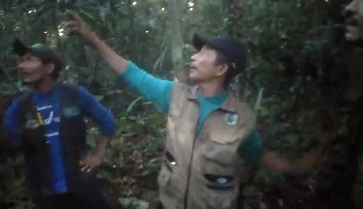 El hallazgo de los menores se dio 40 días después de su desaparición.