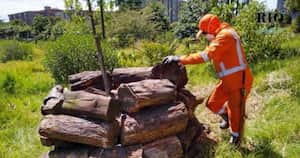 Se planea que estos refugios sean un resguardo y un sitio para alimentación de algunas especies. Foto: Secretaría de Ambiente.