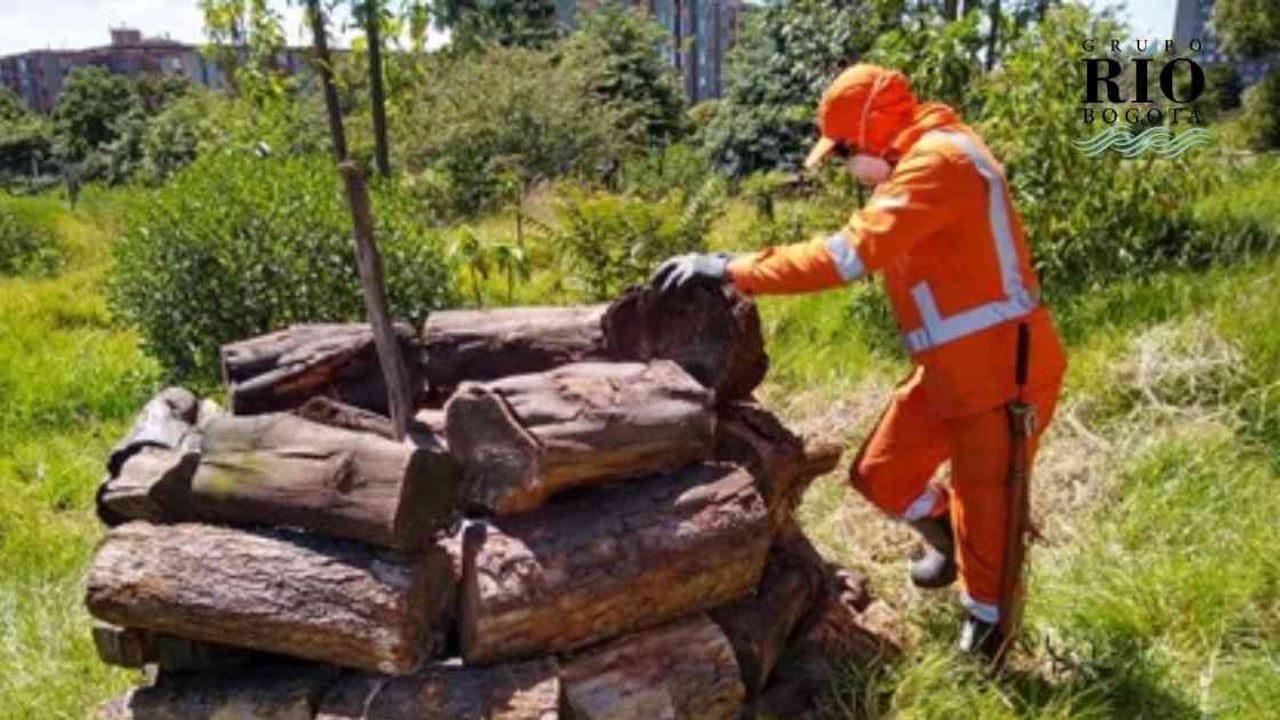 Se planea que estos refugios sean un resguardo y un sitio para alimentación de algunas especies. Foto: Secretaría de Ambiente.
