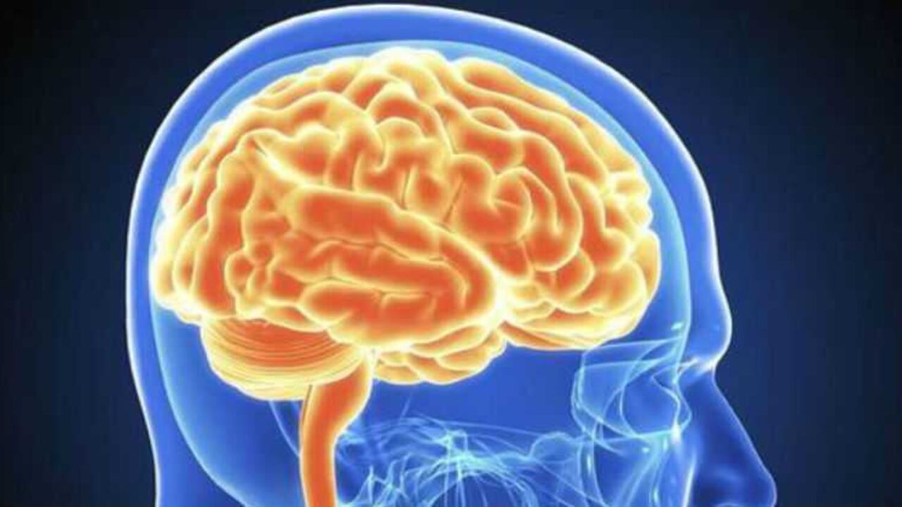 Los nootrópicos supuestamente ayudan a mejorar nuestro desempeño mental, sin producir efectos secundarios negativos.