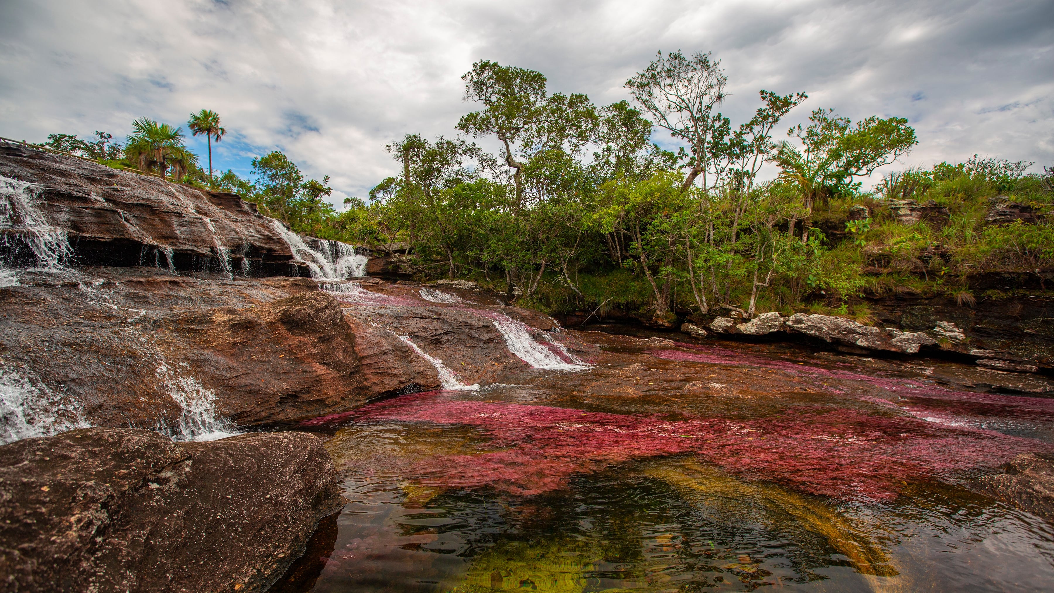 Caño Cristales, una de las maravillas naturales más hermosas del mundo