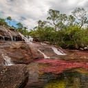 Cao Cristales photographed Monday, August 12, 2019. The river located in the Serrania de la Macarena province of Meta, Colombia and is a tributary of the Guayabero River. The river is commonly called the "River of Five Colors" or the "Liquid Rainbow," and is noted for its striking colors.
The color of the river comes from a water plant called Macarenia Clavigera, an endemic aquatic species. The red plant grows and sticks to the rocks. This is what gives the water its' colorful vibrancy. Though it fluctuates subtly year to year, the best time to see the river's many colors is between June and December.
(Photo by Thomas O'Neill/NurPhoto via Getty Images)