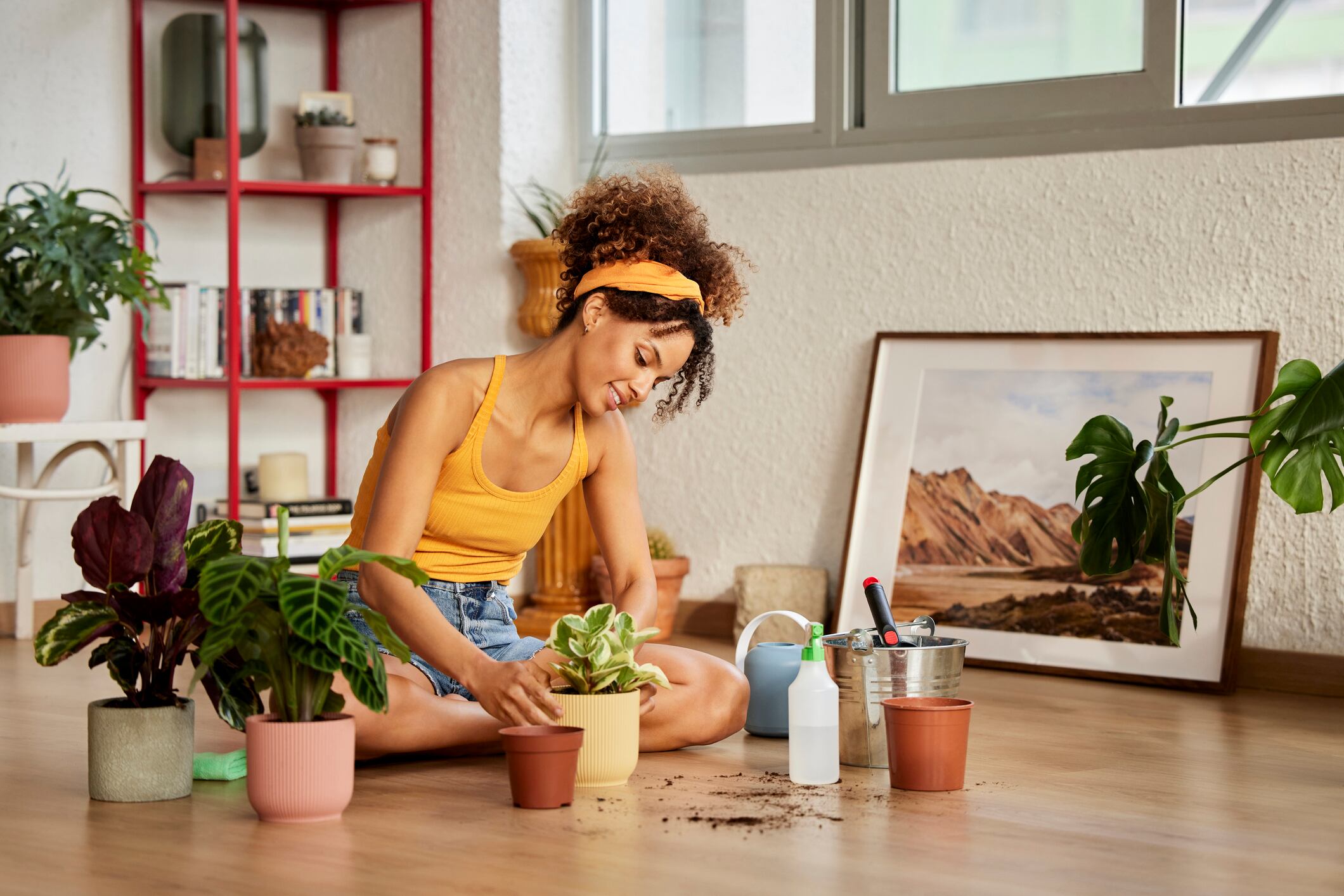 Conozca los 5 errores típicos al proveer agua a las plantas del hogar.