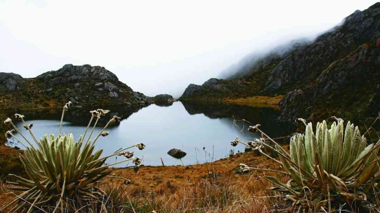 Colombia cuenta cerca del 50 por ciento de los páramos del mundo. Foto: Guillermo Torres / Semana.