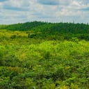 NO USAR, USO EXCLUSIVO MEJOR COLOMBIA, Especial Sostenibilidad, Novartis