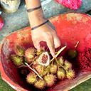 El achiote es una fruta que se consigue fácilmente en el mercado. Getty Images