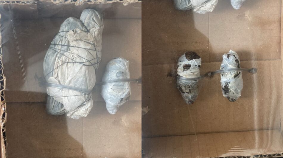 Elementos hallados en poder del hombre.