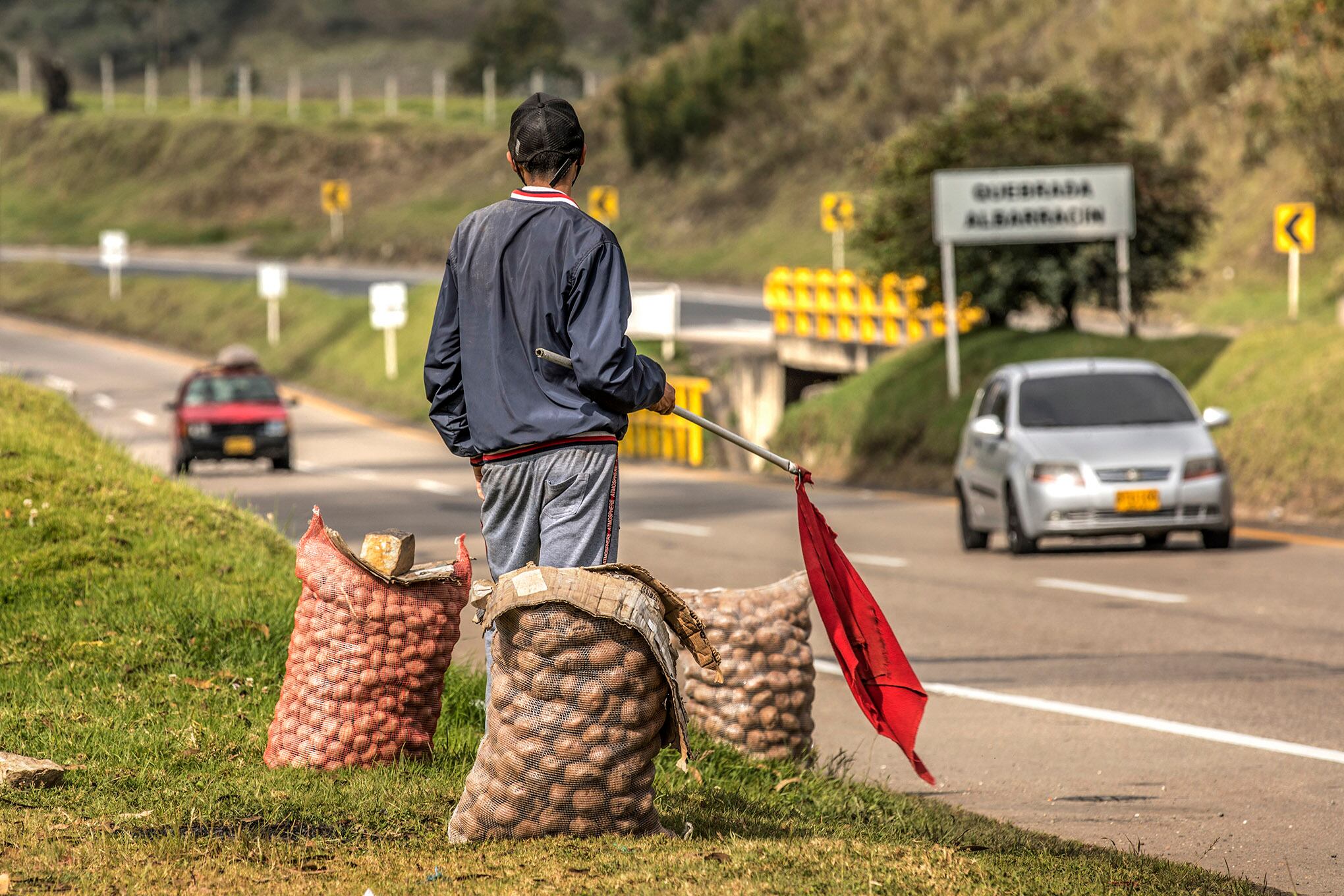 Cultivo papa Ventaquemada