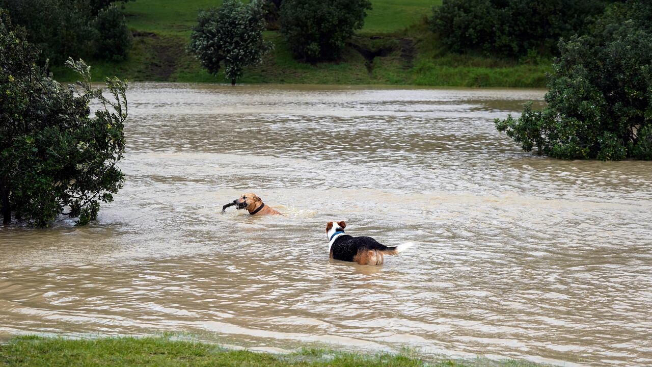Luego de la fuerte tormenta trópical, el Gobierno de Nueva Zelanda declaró el estado de emergencia. Foto: AFP.
