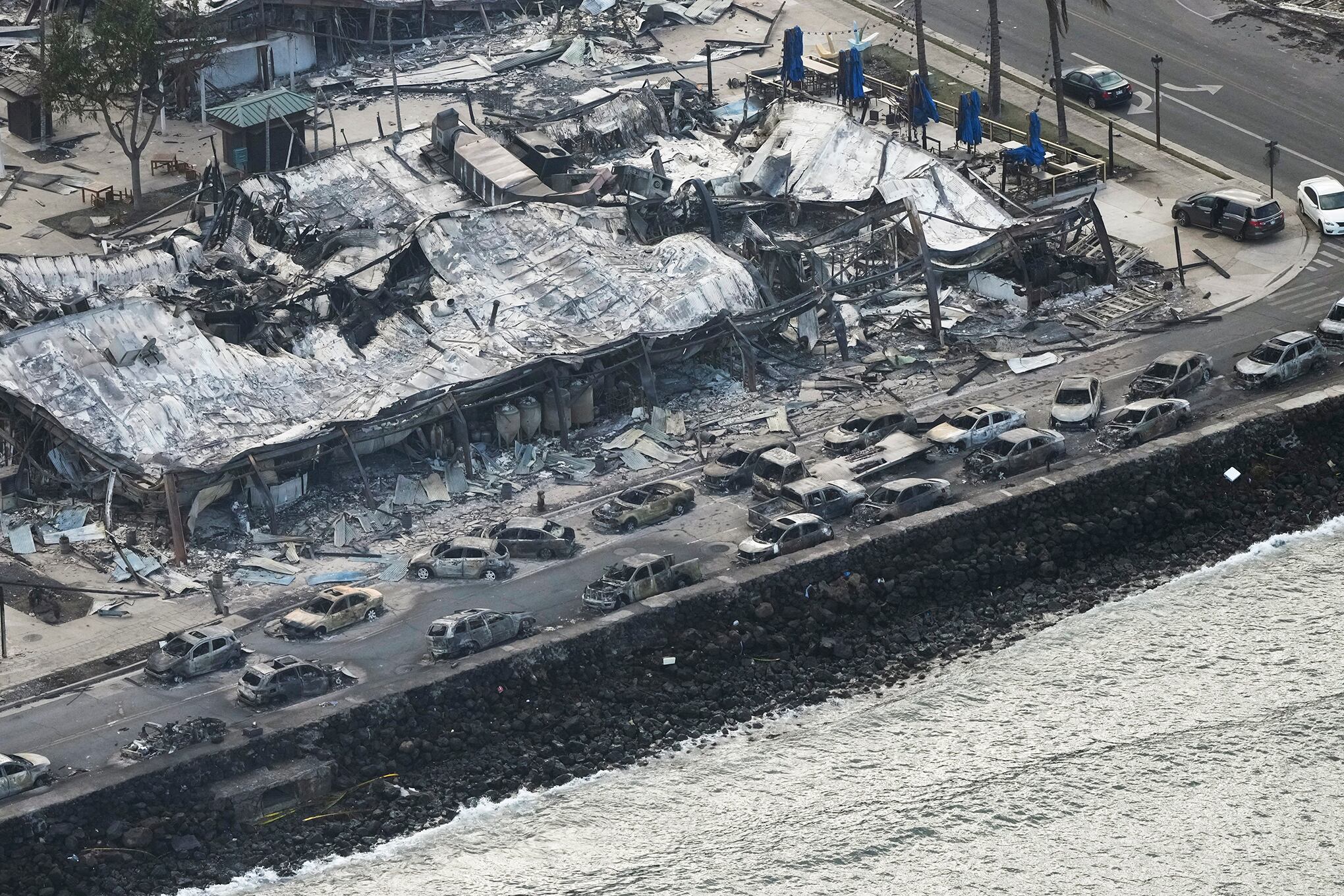 Fotos de la semana 11 agosto