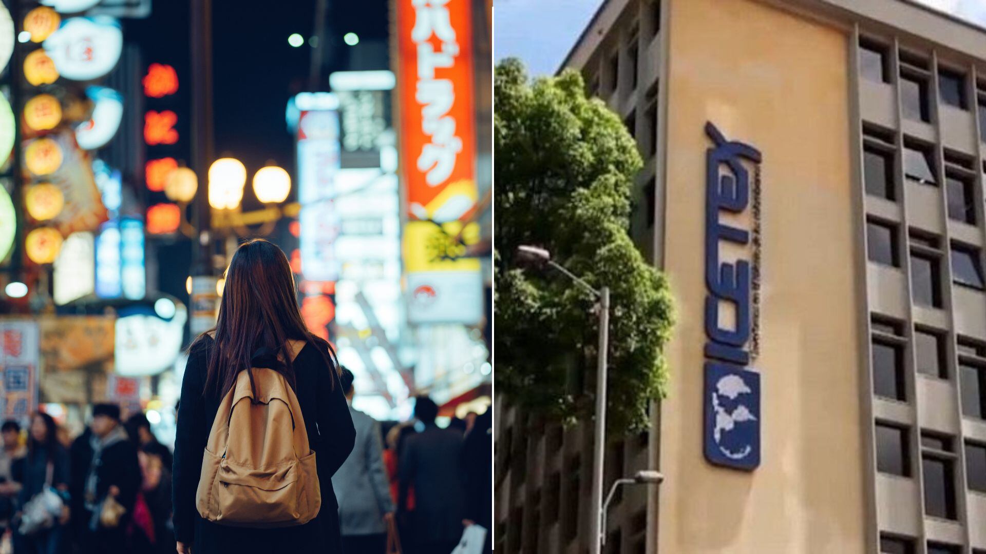 Este proyecto es apoyado por el gobierno de Japón.