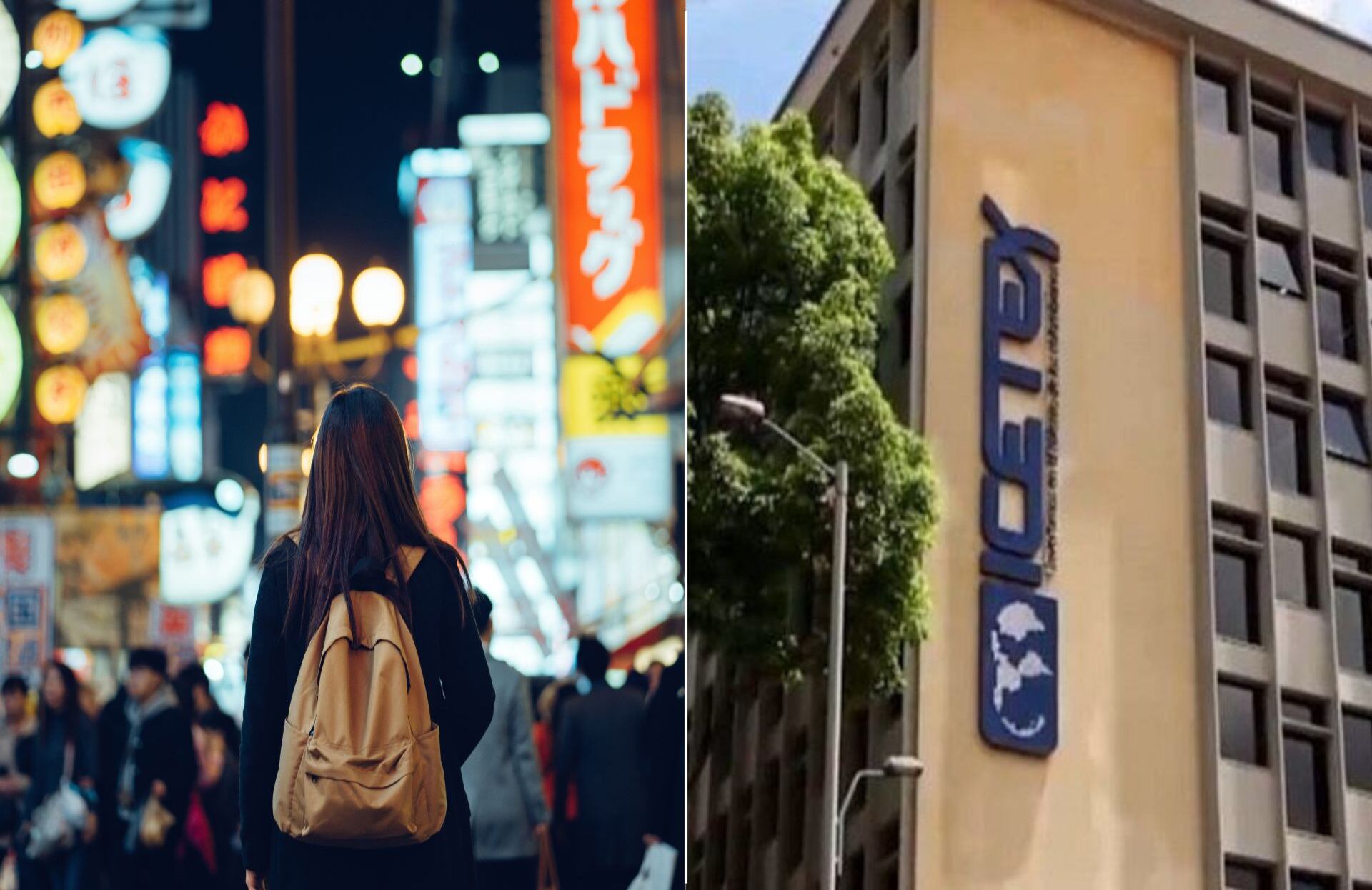 Este proyecto es apoyado por el gobierno de Japón.