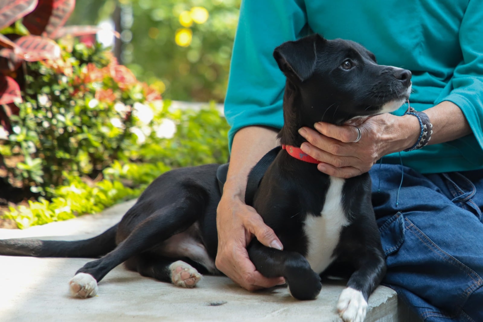Este centro puede llegar a atender a 140 pacientes en un día.