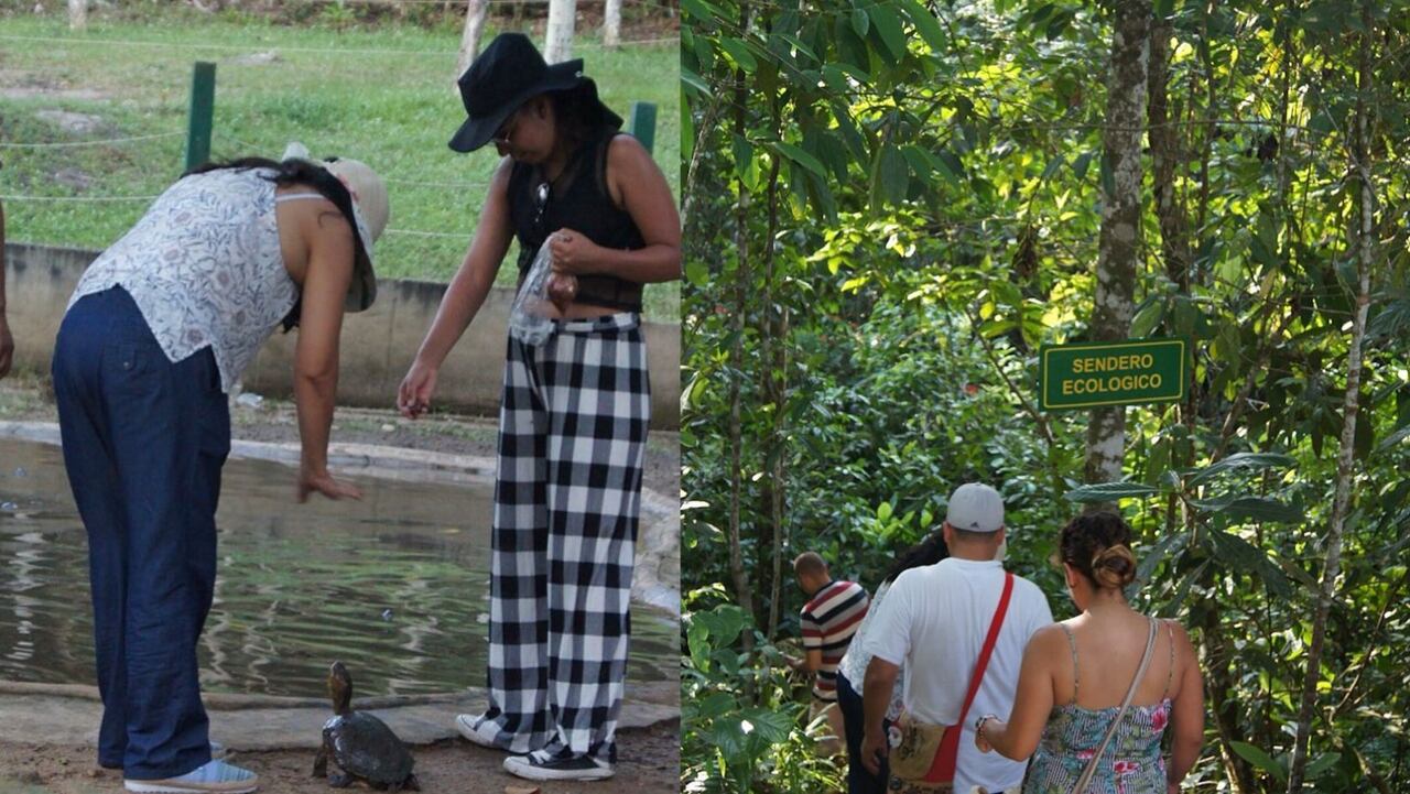 Los dos municipios del Tolima que se destacan entre los 20 mejores destinos turísticos preferidos por los colombianos