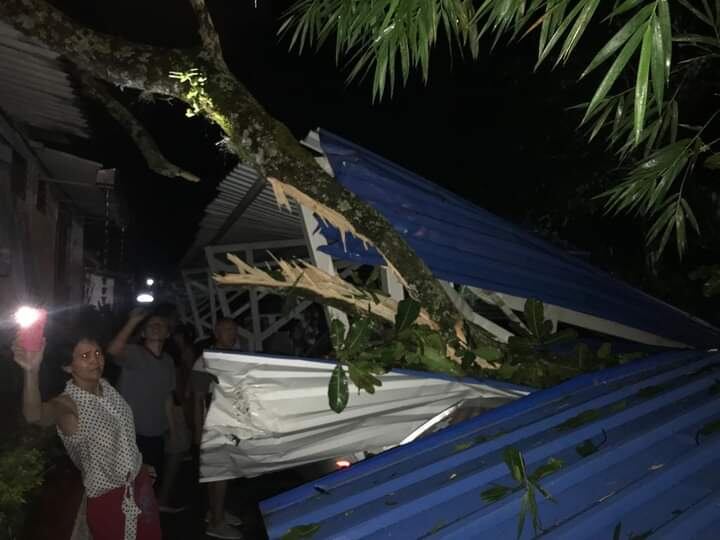 La rama  tenía una extensión aproximada de 35 metros