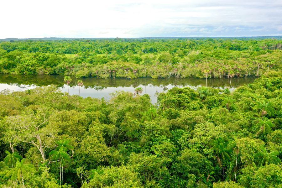 Laguna del Silencio, un rincón de paz y belleza en el Meta que conquista a los viajeros: ubicación y qué hacer en este lugar