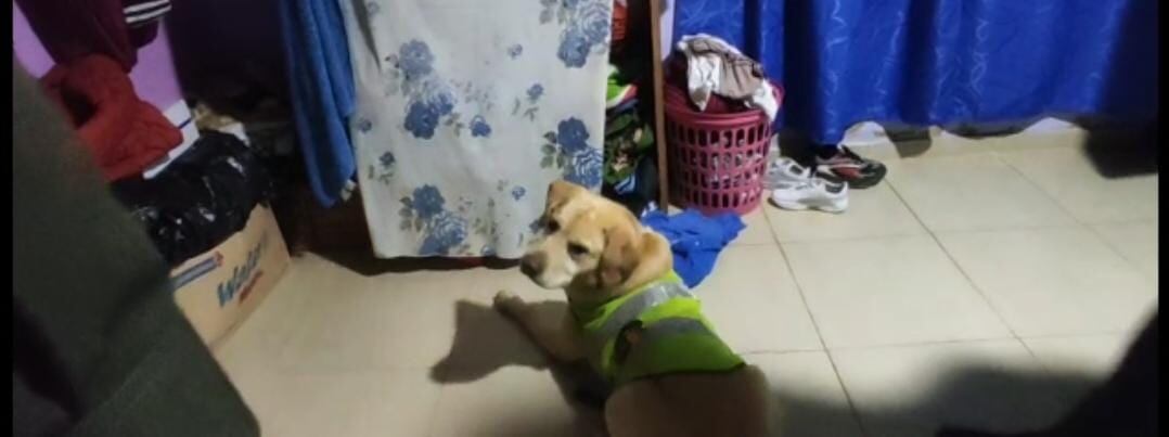 Cae banda La Muralla, en Boyacá