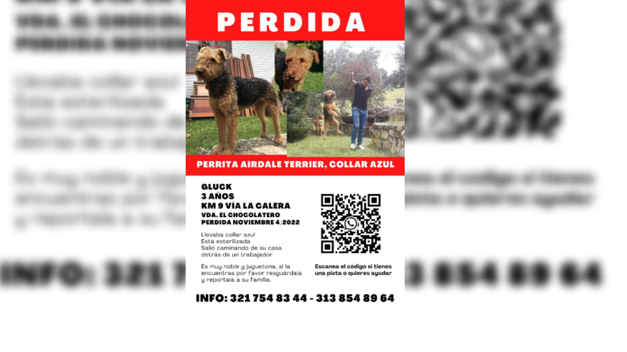 Se busca a Gluck. - Foto: Lussieth Guerrero