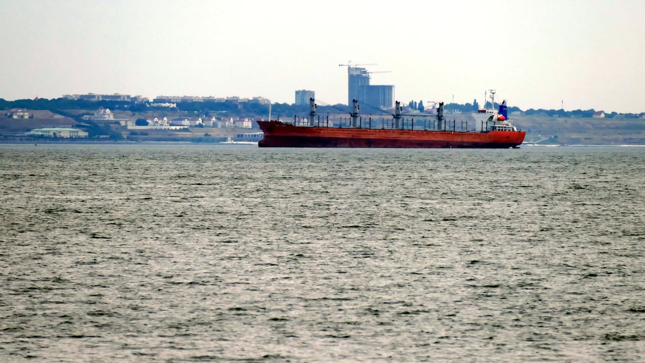 La Guerra en Ucrania ha perjudicado el comercio de cereales a nivel mundial.