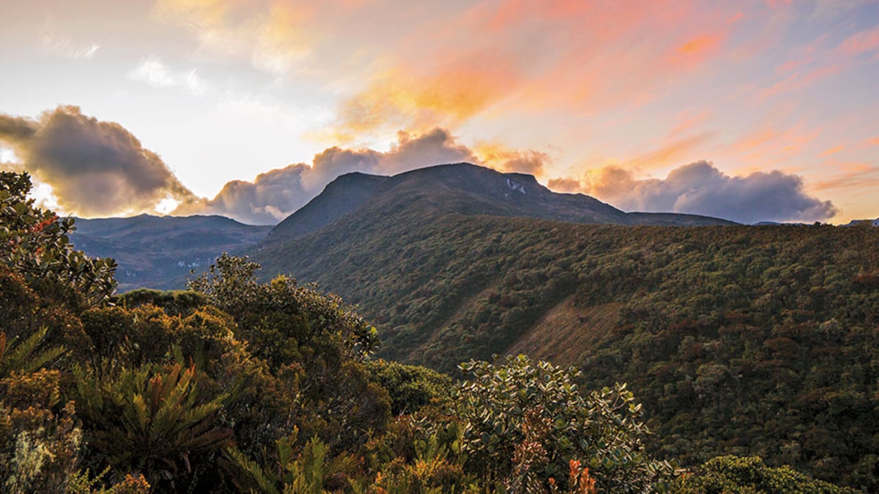 6:00 a.m: al salir del ‘túnel verde’ aparece esta postal de la Cordillera Central, falta un kilómetro para llegar a la laguna Magdalena. El Parque Nacional Natural Puracé tiene cerca de 83.000 hectáreas.