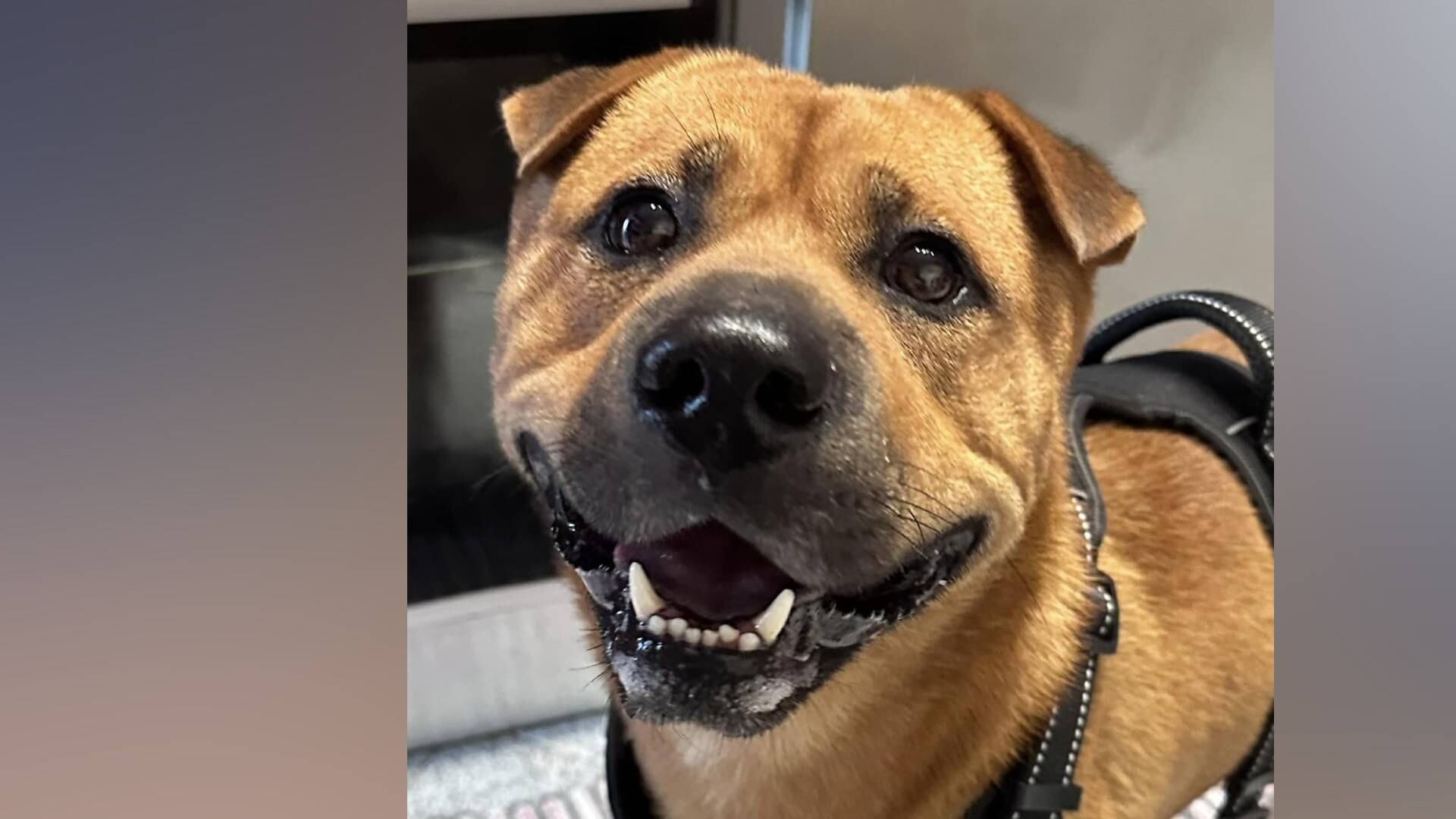 Facebook Junta de Freguesia de Baguim do Monte