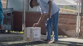 Estos resultados evidencian un patrón claro: la justicia anula elecciones por incumplir normas, pero los ciudadanos, en las urnas, vuelven a elegir a los mismos candidatos.