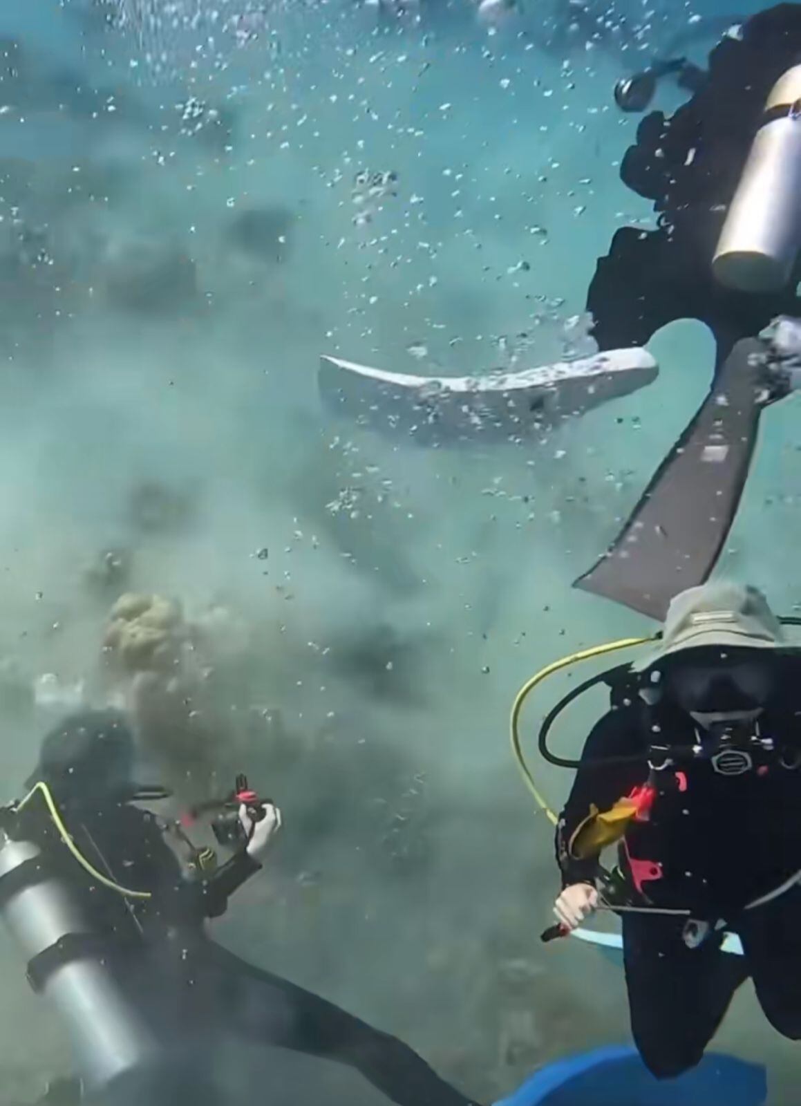 Muchos aseguraron que esta es “la situación más aterradora posible en la que te puedes encontrar”.