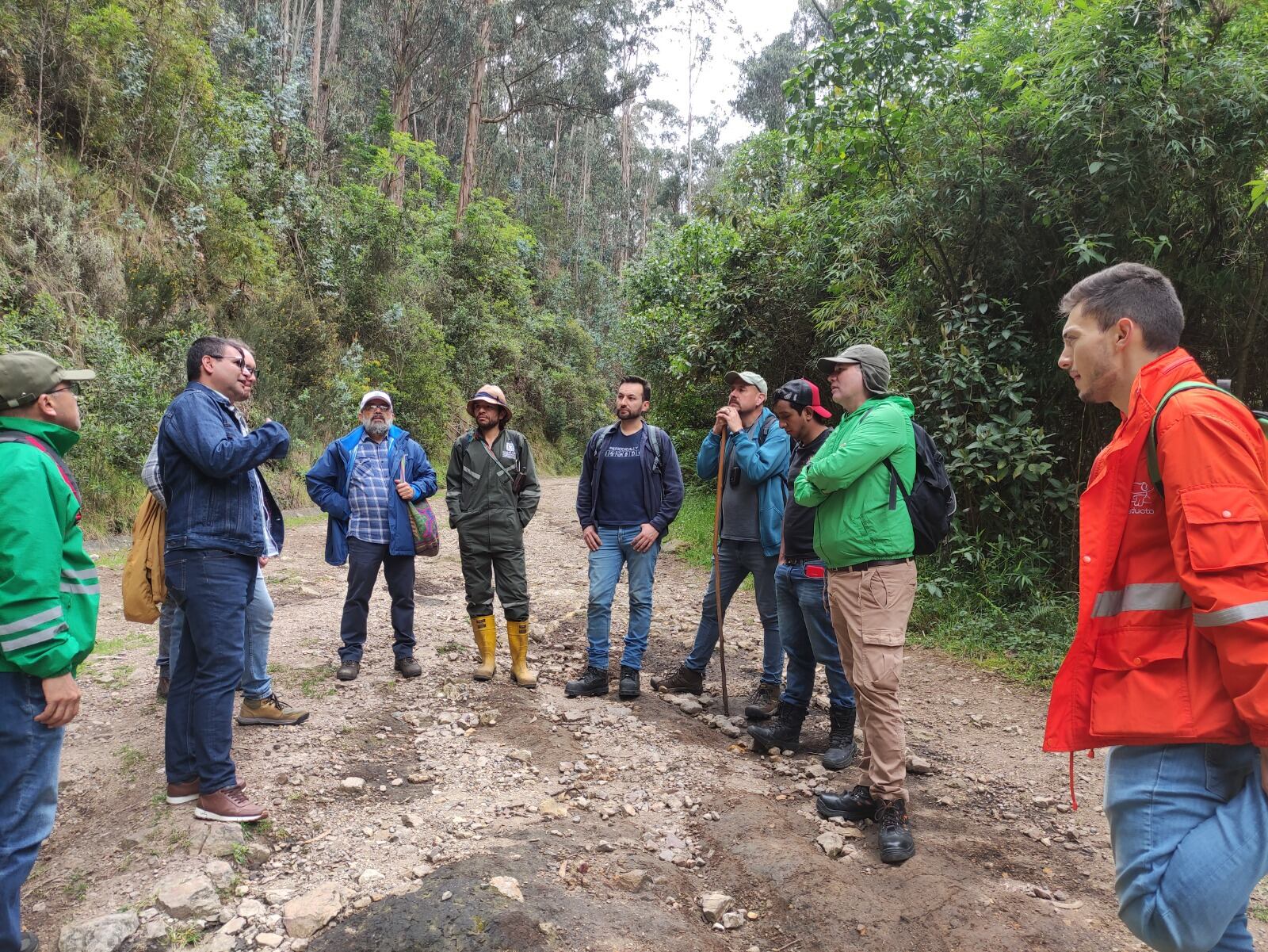 Dentro del plan de trabajo propuesto se han priorizado acciones para el manejo
de suelo
