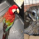 En noviembre se inaugura el nuevo centro de fauna silvestre en Bogotá.