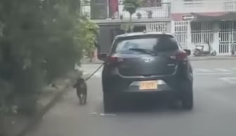 Hombre "pasea" a su perro desde un vehículo.