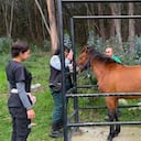 Autoridades de Bogotá rescataron a 32 animales.