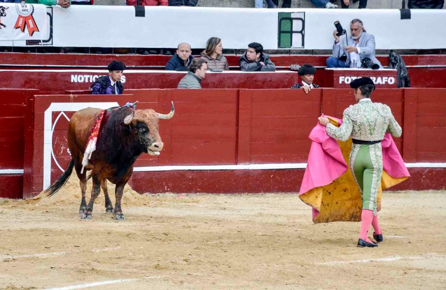 foto: Diana Rey Melo