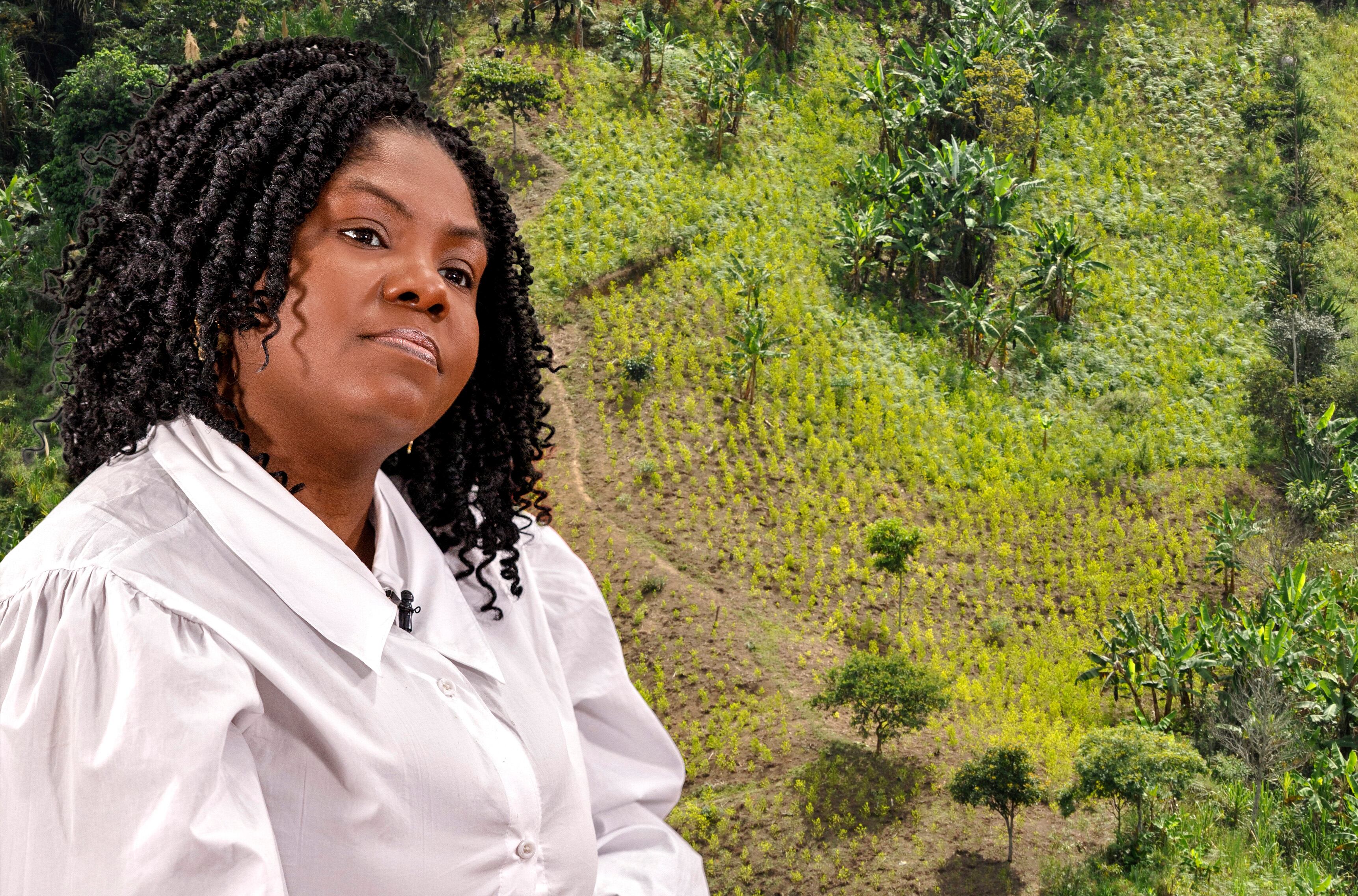 FRANCIA MARQUEZ Y CULTIVOS DE COCA