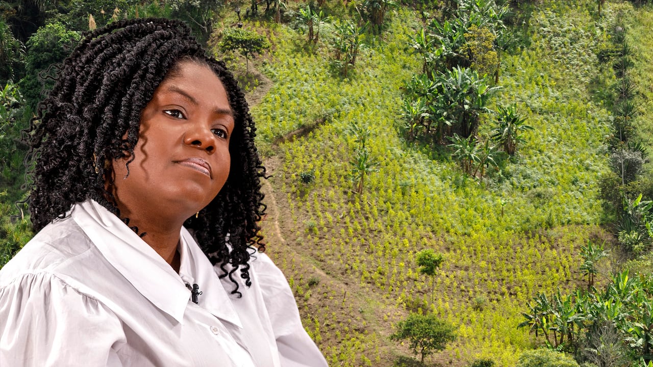 Márquez no da titubeos. “Yo lo dije en campaña, sé que no es fácil, pero he venido encontrando que el mejor camino para solucionar esto es la legalización… El día que lo logremos hacer, no sé… pero ese es el camino”, dice.