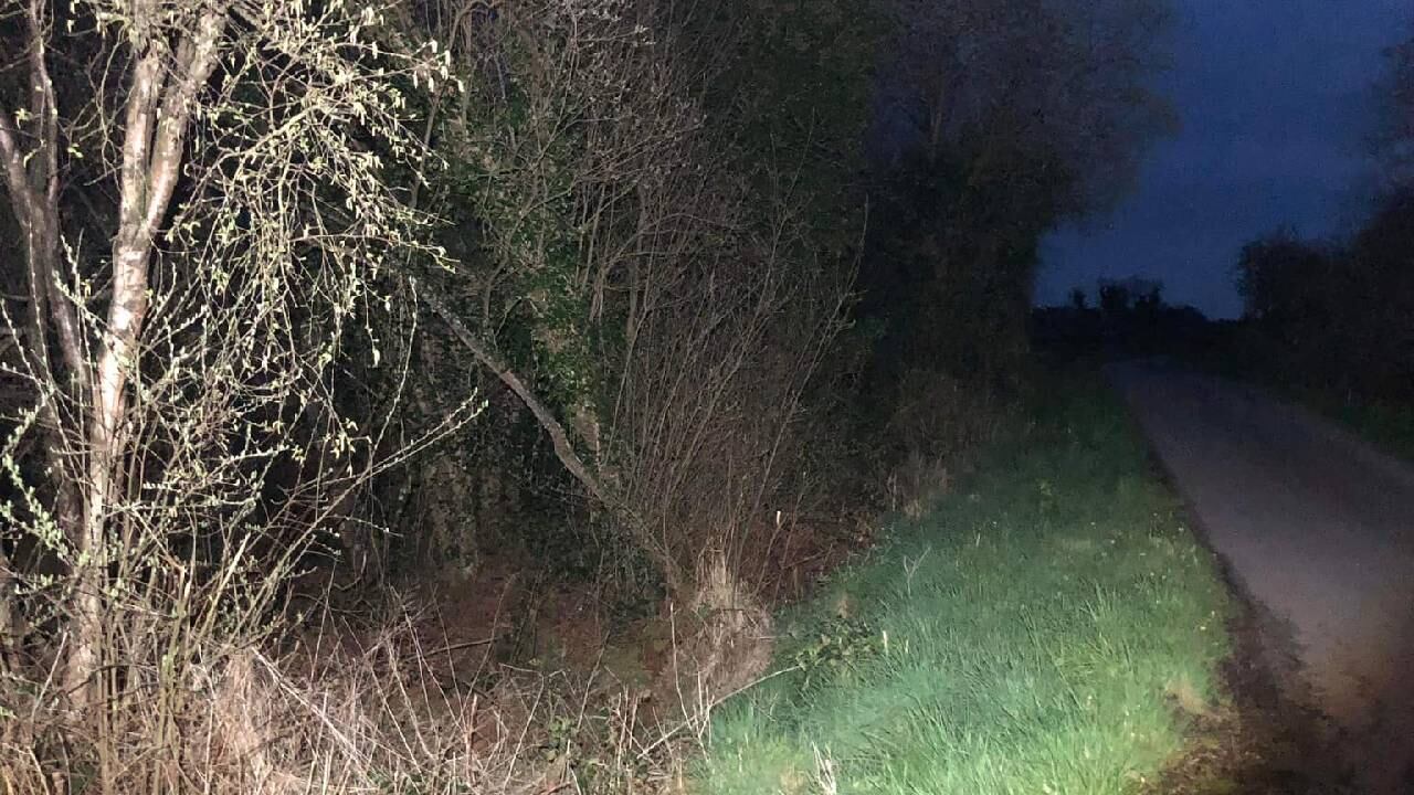 Fueron varias jornadas hasta finalmente encontrar a Cooper.