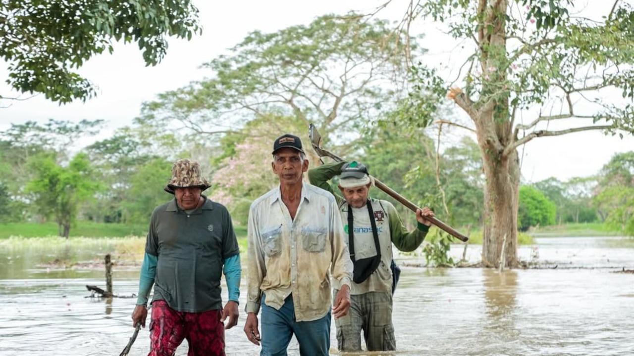 Más de 40.000 familias han resultado damnificadas por el desbordamiento de ríos y las inundaciones en varios municipios cordobeses