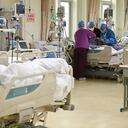 El sector de la salud planea recibir a cientos de extranjeros que puedan trabajar en esta área